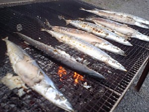 20090923　秋刀魚の味３
